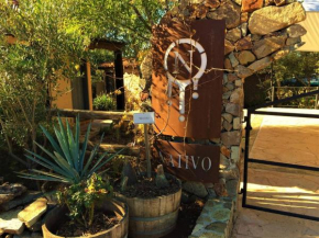 Casa Nativo - The Heart of the Vineyard